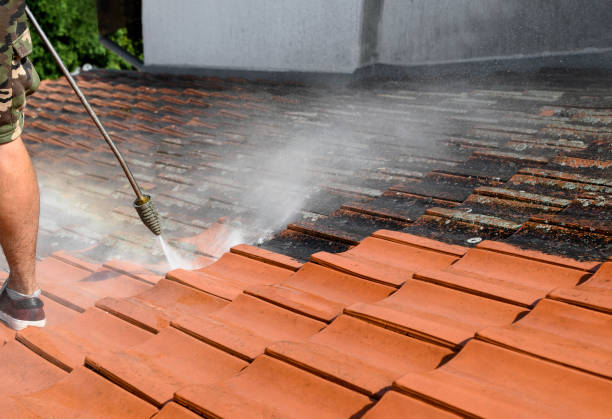 Best Affordable Power Washing  in Milford, PA