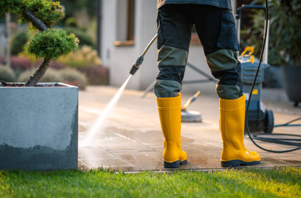 Best Exterior Home Cleaning  in Milford, PA